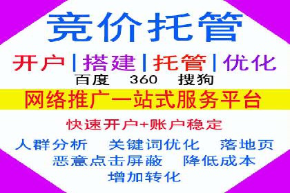 百度竞价与搜索引擎优化（SEO）的协同效应案例